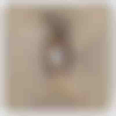 Para a Minha Filha – Colar de ouro branco de 14K com cristais de zircónio LEONA