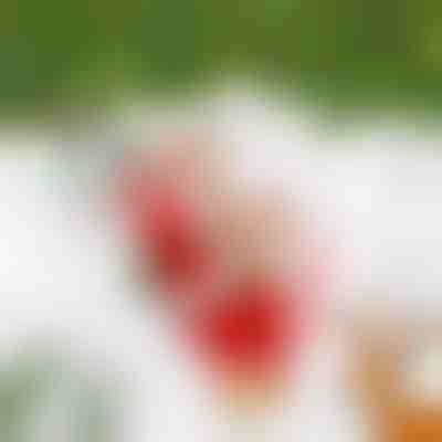 Pai Natal que Trepa e Reproduz Música SANTACLIMB