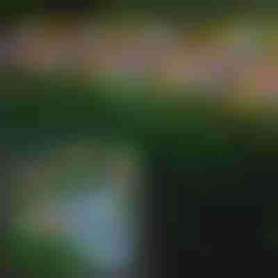 Luzes Solares Exteriores com Borboletas | FLUTIX