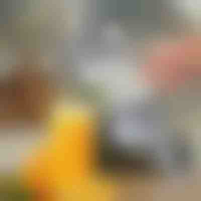 Espremedor de Frutas Manual | JUVOPRESS