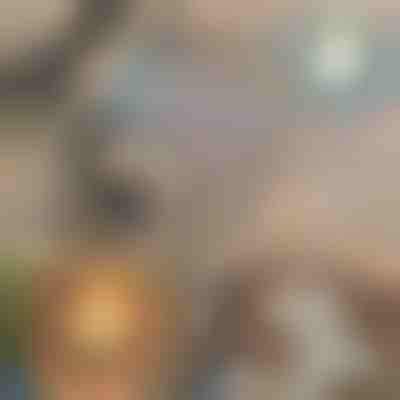 Conjunto de ferramentas profissionais para queima de madeira | PYROPEN