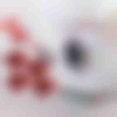 Conjunto para deslocação de móveis com 4 corrediças e elevador | LIFTROLLERS