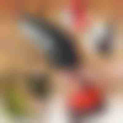 Serra elétrica portátil BRENCHIE