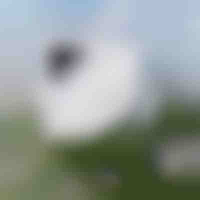 Limpeza de janelas sem esforço | WINDOWSWIPE